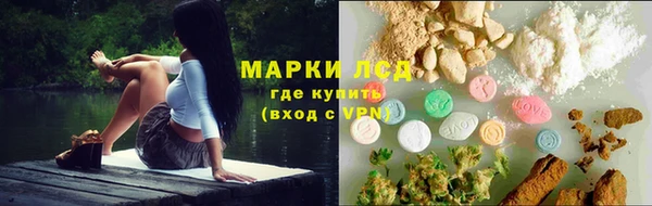 ешки Новосибирск