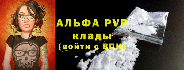 каннабис Ессентукская