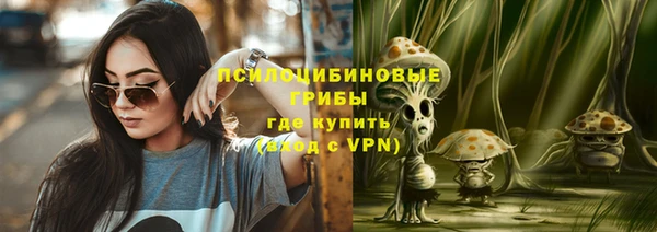 ГАЛЛЮЦИНОГЕННЫЕ ГРИБЫ Майский