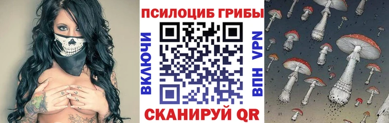 Псилоцибиновые грибы GOLDEN TEACHER  shop как зайти  Электроугли  закладки  blacksprut ССЫЛКА 